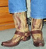 Stetson Outlaw Harness Boots
